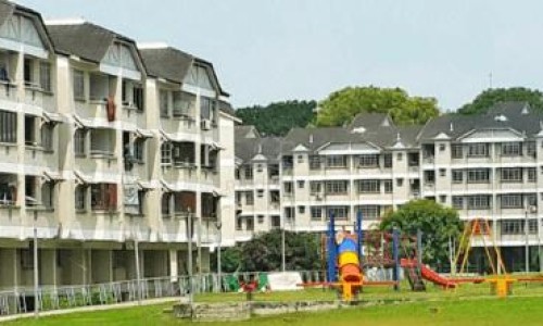 绿咖啡籽油作用与功效与作用-绿咖啡籽油作用与功效网 - 绿咖啡籽油作用与功效是什么,绿咖啡籽油作用与功效禁忌