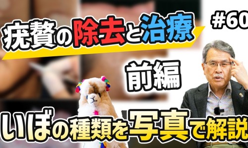 绿咖啡籽油作用与功效与作用-绿咖啡籽油作用与功效网 - 绿咖啡籽油作用与功效是什么,绿咖啡籽油作用与功效禁忌